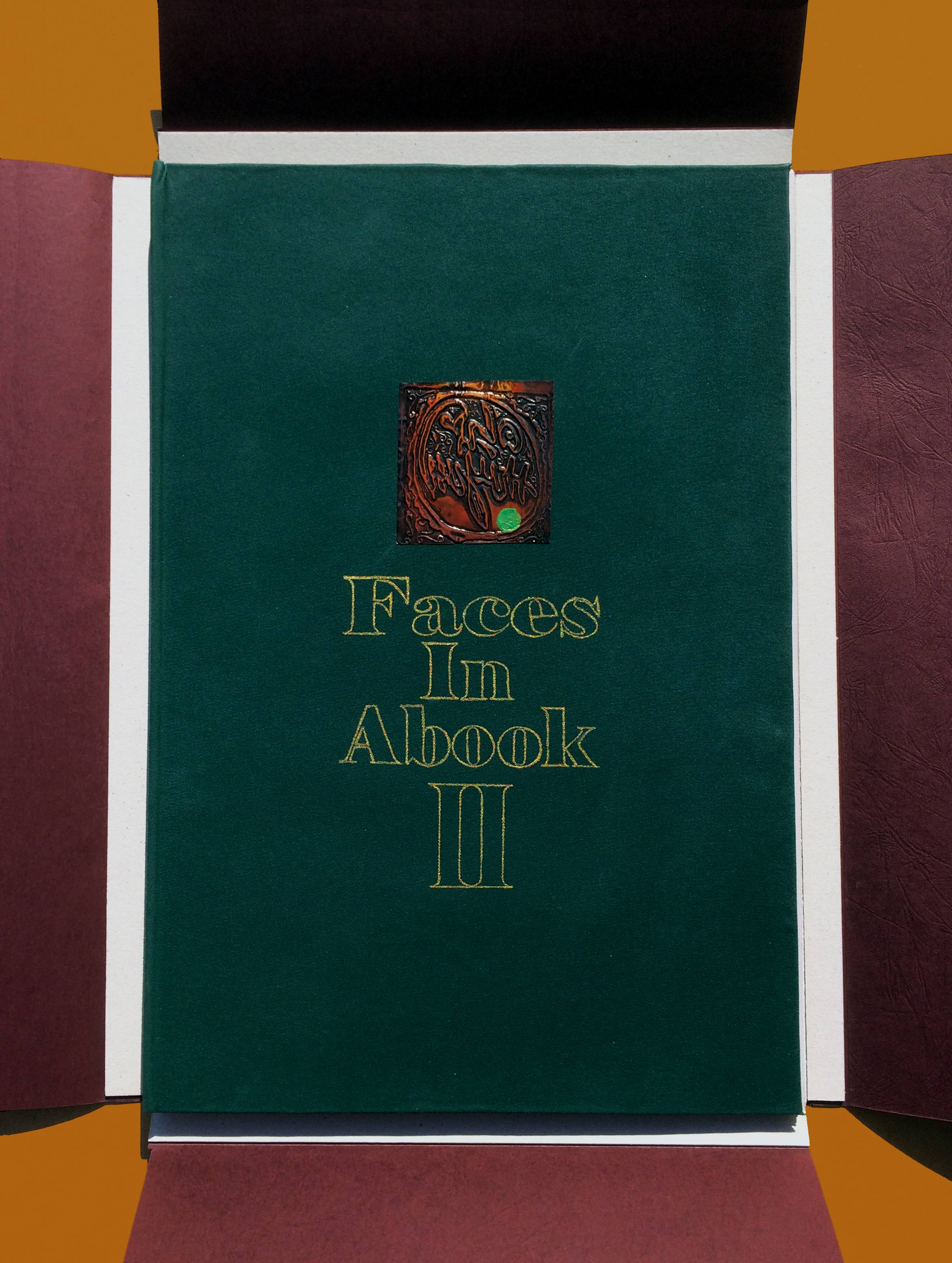 Faces In A Book 2