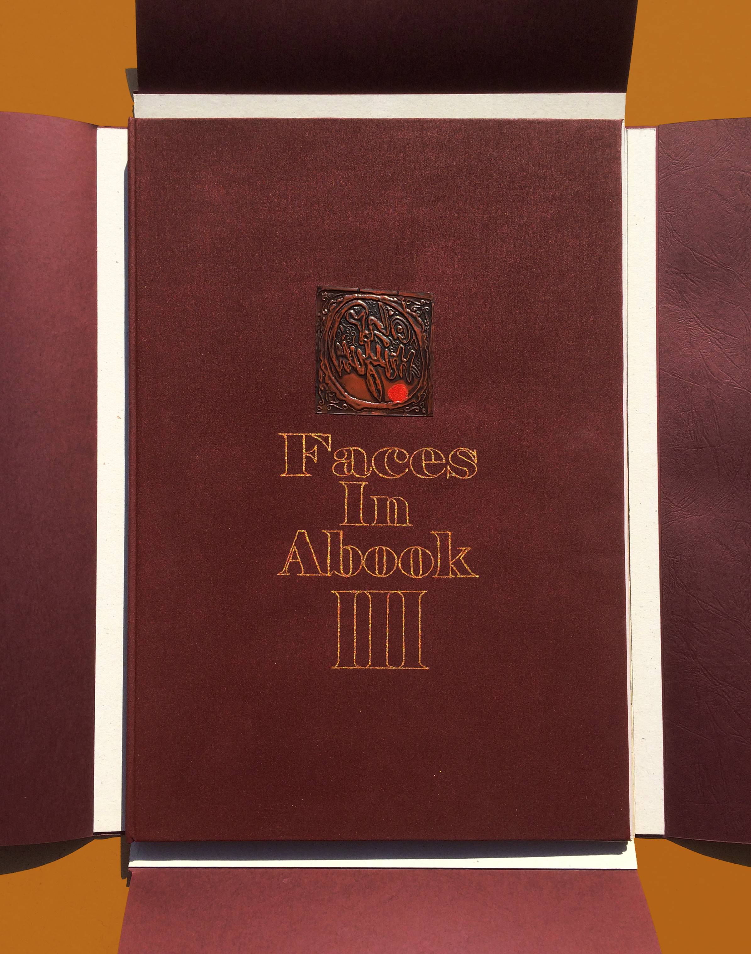 Faces In A Book 3